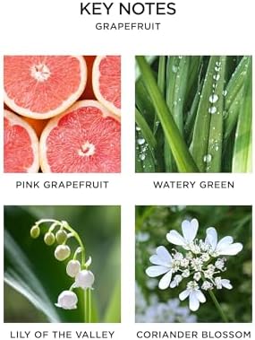 NEST New York Smart Home Fragrance Diffuser Refill Smart Vials, Grapefruit - 4 Diffuser Refill Smart Vials, Set of 2 - Designed for NEST x Pura 3 and NEST x Pura 4 Diffusers - Cruelty Free, Vegan