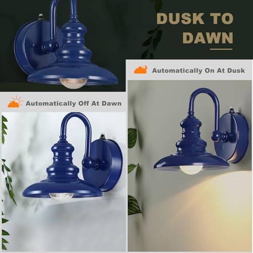 LONEDRUID Dusk to Dawn Sensor Outdoor Gooseneck Barn Light Fixtures Blue