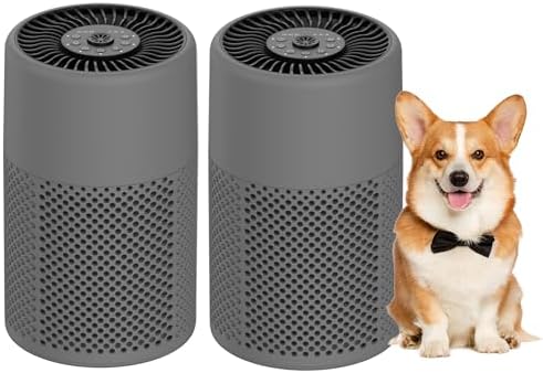 Air Purifiers for Bedroom, Dorm Room, True HEPA Filter for Smoke, Grey