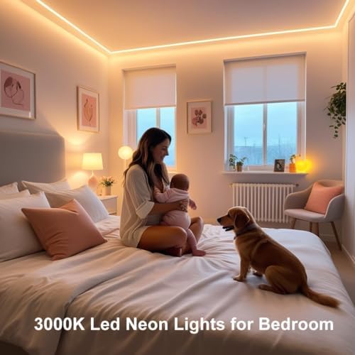 iNextStation Warm White LED Light Strip 16.4FT LED Lights (with DC12V Plug)