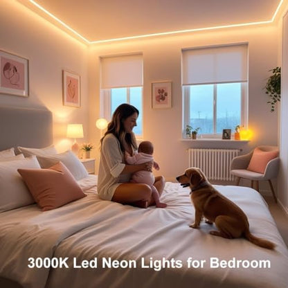 iNextStation Warm White LED Light Strip 16.4FT LED Lights (with DC12V Plug)