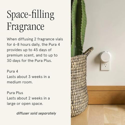 Pura x Studio McGee Home Diffuser Refill, 2 Pack, Winter Bayberry