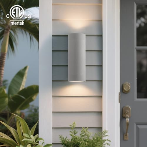 mirrea 12" Modern Outdoor Porch Light in 2 Lights, 2 Pack, Metallic Gray