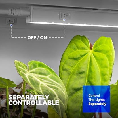 Barrina T5 Grow Lights for Indoor Plants, 2FT 5000K 40W (4 X 10W), 4 Packs