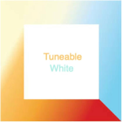 Casambi Enabled Tunable White LED Bulb | Standard E27 Base |100-240VAC