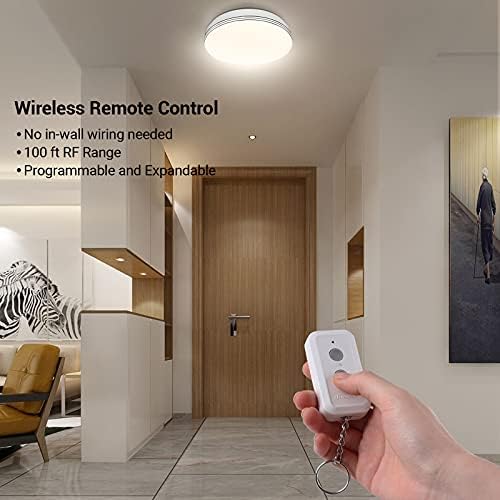DEWENWILS Wireless Light Switch and Receiver Kit, No in-Wall Wiring Required, Remote Control Switch Lighting Fixture for Ceiling Lights, Fans, Lamps,100 Ft RF Range, Programmable