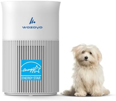 Pure Air PA1 Wozoyo Air Purifier For Bedroom Home, Office, Desktop, AHAM VERIFIDE, Covers Up To 300 ft², 3-in-1 HEPA Filter Cleaner With Aroma Pad, Filters Smoke, Pet Dander, Odor, Dust