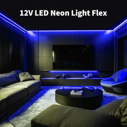 16.4FT Neon LED Strip Lights, 12V Blue Silicone LED Rope Lights