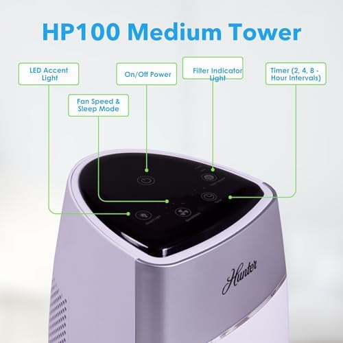Hunter HP100 Air Purifier for Bedroom, Living Room, Dorm, Gray & Silver