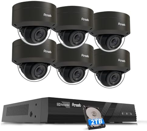 PoE Security Camera System Outdoor 5MP with 2TB HDD, PD54B0608-5M