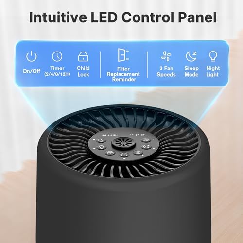 Air Purifiers for Bedroom, Dorm Room, True HEPA Filter for Smoke, Graphite