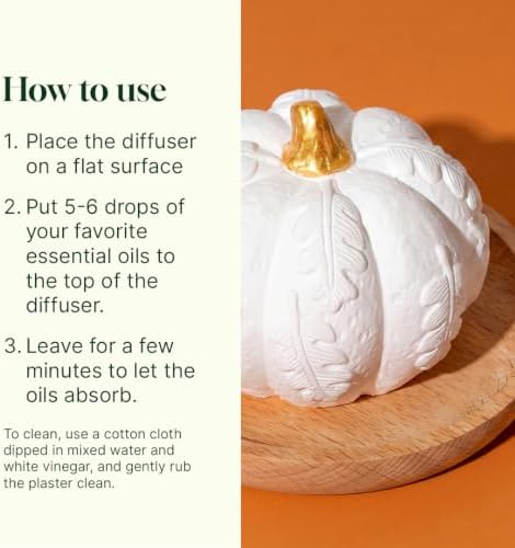 Plant Therapy Pumpkin Passive Fall Diffuser for Essential Oils