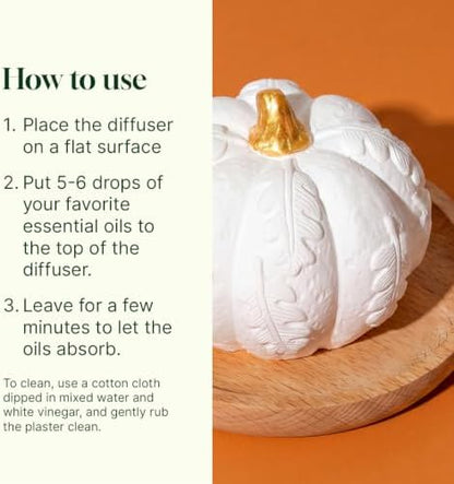 Plant Therapy Pumpkin Passive Fall Diffuser for Essential Oils