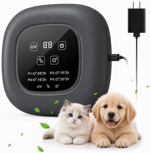 Air Purifier for Home with Ozone & Negative Ion, Ionic Air Purifier for Pet Smell, Smoke, Musty, Dust, Plug-in Air Ionizer for Bedrooms, Kitchens, Bathrooms, Cars and Offices, USB Powered (Dark Gray)