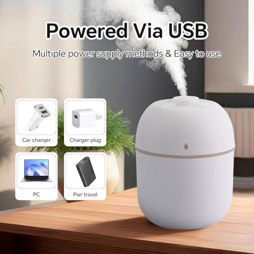 Hortsun 6 Pcs Mini Humidifiers, 220ml Humidifier for Plant,White