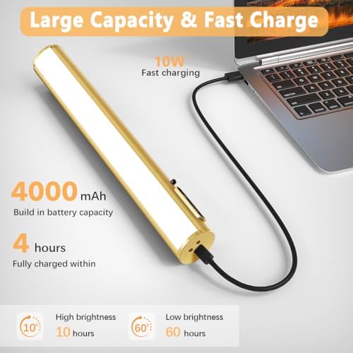Hapfish Picture Lights for Wall Battery Operated,Wireless Art Light - Gold