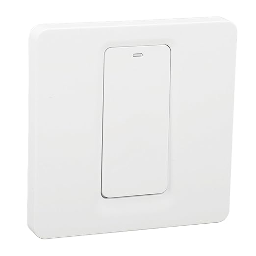 Smart Touch Wall Switch with Voice Control and Timer for Water Heater Boiler Home Automation