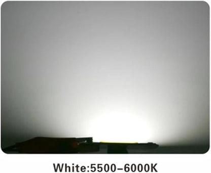 Indoor Lighting, Pack of 10, LED COB Chip Lamp AC110V 10W/20W/30W/50W Smart IC No Need Driver DIY Flood Light Outdoor Chip Lamp(Cold White,50W)