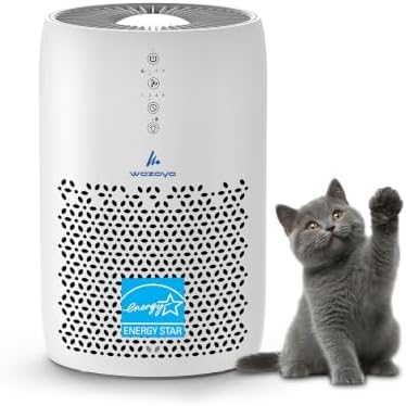 Pure Air PA2 Wozoyo Air Purifier for Home & Bedrooms, AHAM VERIFIDE Covers up to 563 ft², 75 CFM, Filters Smoke, Pet Dander, Odor, Dust, 3-Stage HEPA Filtration, Night Light, Low Noise