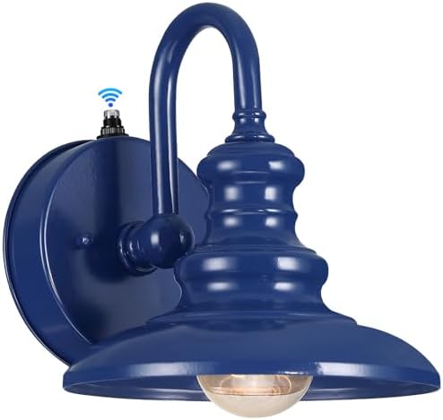 LONEDRUID Dusk to Dawn Sensor Outdoor Gooseneck Barn Light Fixtures Blue