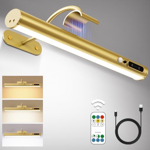 Hapfish Motion Sensor Battery Operated Wall Sconce,Wireless Picture Lights
