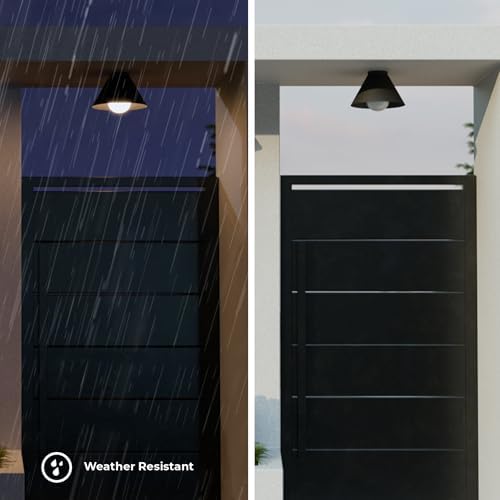 Globe Electric 60000163 1-Light Outdoor Flush Mount, Painted Black Sand Texture, Frosted Opal Glass Inner Shade