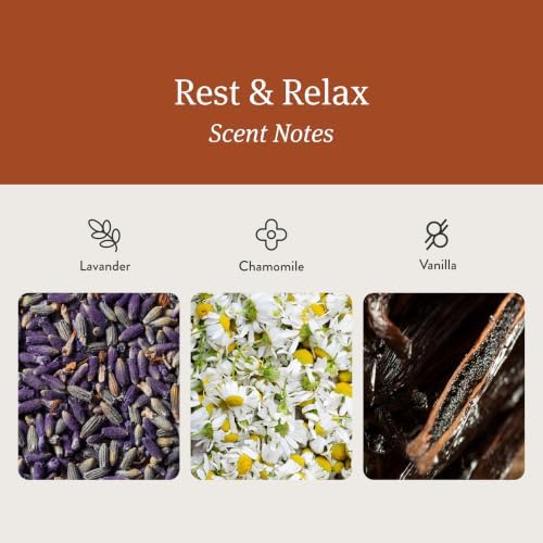 Drift Home Scent Diffuser Refills in Rest & Relax (2 Refills) - Adjustable and Long Lasting Diffuser Aroma - Clean Ingredients, Pet Safe, Device Not Included