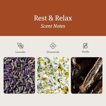 Drift Home Scent Diffuser Refills in Rest & Relax (2 Refills) - Adjustable and Long Lasting Diffuser Aroma - Clean Ingredients, Pet Safe, Device Not Included
