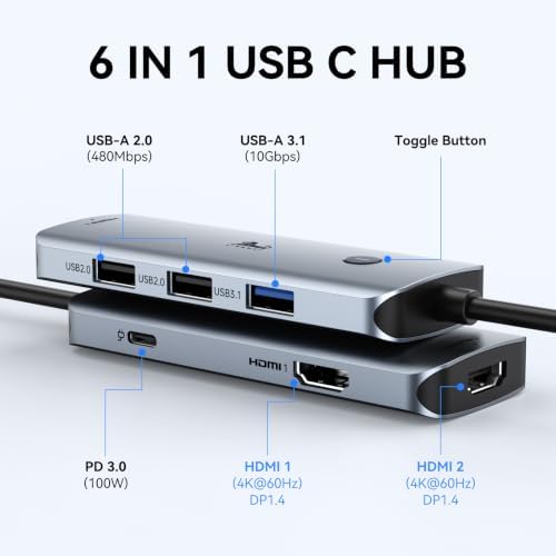 LIONWEI USB C Docking Station Dual Monitor HDMI, Laptop Multiport Adapter