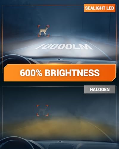 SEALIGHT 9006 LED Fog Light Bulbs, 12000LM 24W Strong Penetration 9006 HB4 LED Fog Lights, 6500k Cool White 5530 CSP Chips, IP68 Waterproof Plug and Play, Pack of 2