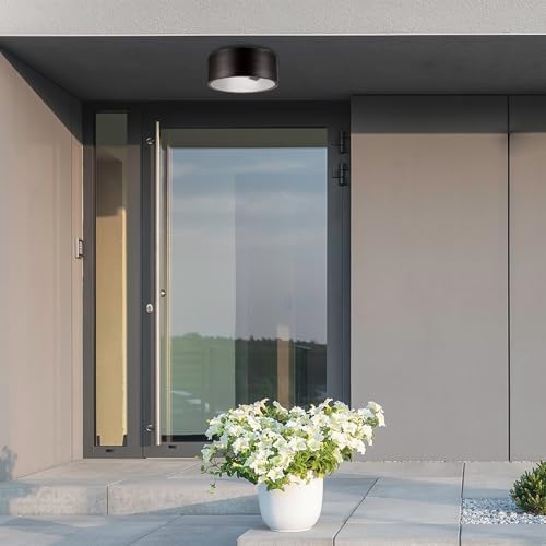 GLOBE Electric 44479 Teagan 1-Light Outdoor Indoor Flush Mount Ceiling Light, Dark Bronze, Clear Glass Shade, Bulb Not Included (Pack of 2)