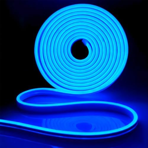 iNextStation 16.4FT 12V LED Strip Light Blue Neon LED Rope Lights (No Plug)