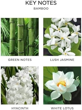 NEST New York Smart Home Fragrance Diffuser Refill Smart Vials, Bamboo - 4 Diffuser Refill Smart Vials, Set of 2 - Designed for NEST x Pura 3 and NEST x Pura 4 Diffusers - Cruelty Free, Vegan