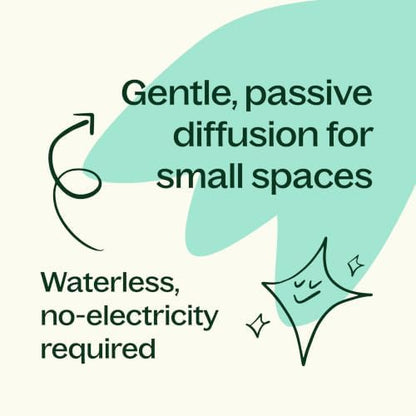 Plant Therapy Lava Rock Passive Diffuser for Essential Oils
