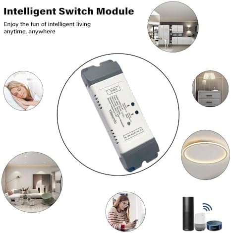 EWeLink 2CH WiFi Relay DC7-32V Inching Self Lock Garage Door Controller