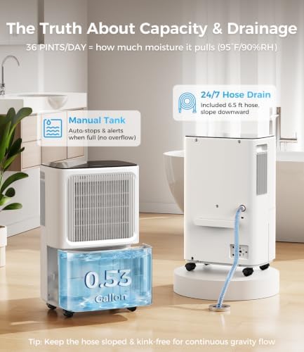 36 Pints/D, 2,800 Sq.Ft Dehumidifier for Basement with Drain Hose