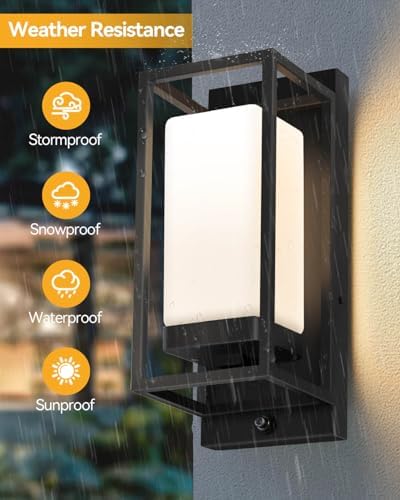 RAYVO Smart Porch Lights RGBCW Outdoor Wall Light, Color Changing Sconce