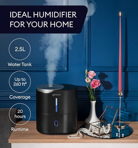 Top Fill Humidifier with Essential Oil Diffuser 2.5L for Home, Baby, Bedroom, Large Room & Indoor Plants, Small Cool Mist Air Humidifiers for Baby, Ultrasonic Quiet, Night Light (Black)