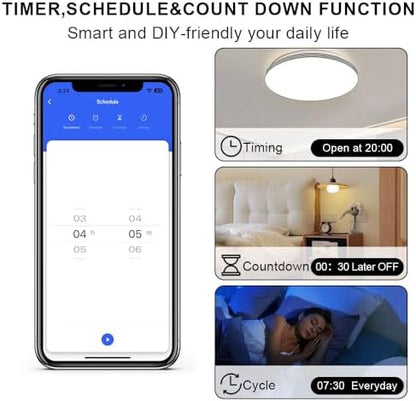 Smart Switch 1 Gang, Neutral Wire Required, 2.4GHz Wi-Fi Light Switch Compatible with Alexa and Google Home, UL Certified