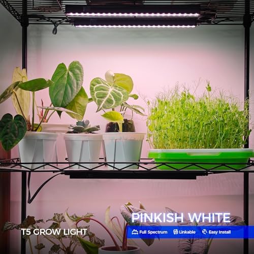 Barrina T5 Grow Lights for Greenhouses, 1FT 5W, Full Spectrum, 8 Packs