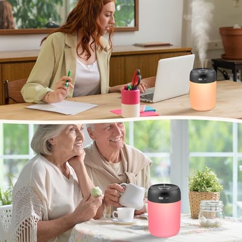 Plant Humidifier Indoor, 650ml Humidifier for Plants, Black
