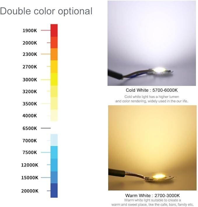 Indoor Lighting, Pack of 2, DIY LED COB Chip Lighting AC110V 10W/20W/30W/50W/70W/100W Smart IC No Need Driver LED Flood Light Spotlight(110V Cold White,10W)