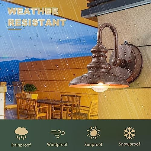 LONEDRUID Dusk to Dawn Sensor Rustic Outdoor Gooseneck Barn Light Fixture