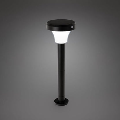 IntelliPath Solar Smart LED Landscape Path or Fence Post with Linkable IR Motion Sensor and Daylight Sensor 160 Lumens 8 Hours on Full Charge RGB Color Changing and Tunable White in Black (Pack of 2)