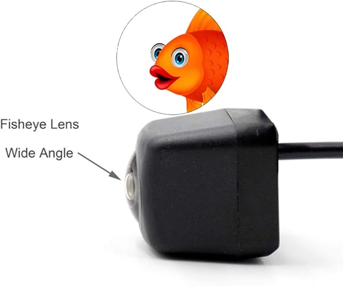 Vlicevrn HD Fisheye Vehicle Car Rear View Camera Night Vision Backup Parking Camera for Toyota 4Runner N210 MK4 / Hilux Surf N210 / SW4 N210 MK4 / Fortuner/Innova (Fisheye Dynamic)