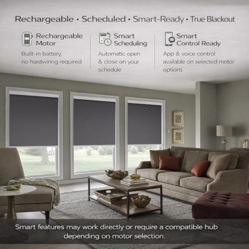 ZSHINE Motorized Blackout Roller Shades Remote Control Rechargeable(82010l)