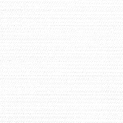 Light Filtering Motorized Zebra/Roller Shades – LightFiltering-Siena BL2 Series Smart Remote Control Window Blinds