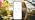 X-Sense Smart Wi-Fi Thermometer Hygrometer, 3 Sensors & Base Station