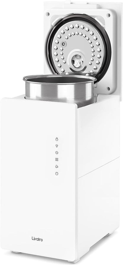 Livatro 6L Stainless Steel Humidifier for bedroom with Warm Mist Steam