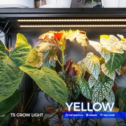 Barrina T5 Grow Lights for Growth, 3FT 16W Yellow, LED Grow Lamp, 8 Packs